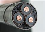 質優價廉，服務無憂 耐克森(陽谷)新日輝電纜，一站式電線電纜解決方案